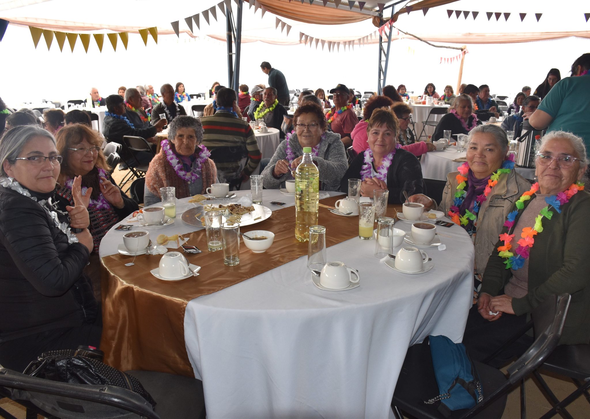 Celebramos la llegada de la primavera con nuestras personas mayores ...
